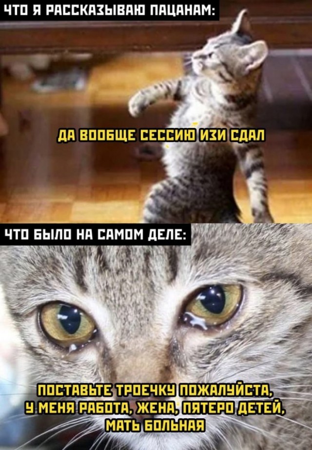 Картинки и мемы для настроения 29.06.2021