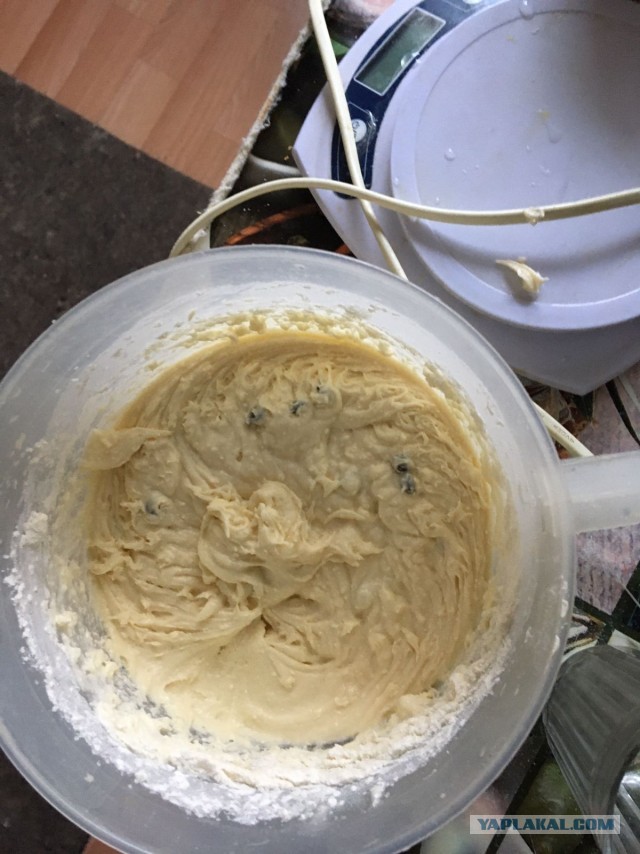 Быстро-вкусно: пирог на сметане с персиками