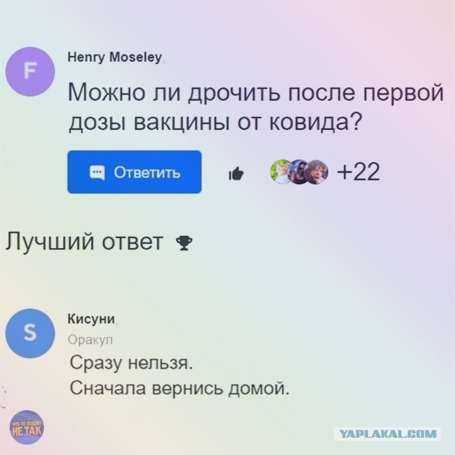 Так себе картинки 13.11.21