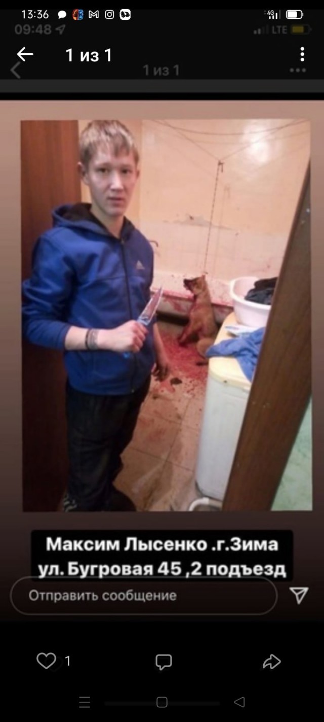 18-летний студент убил собаку, чтобы приготовить еду.