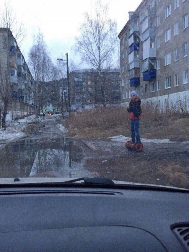 Всяческие картинки 27.12.2021