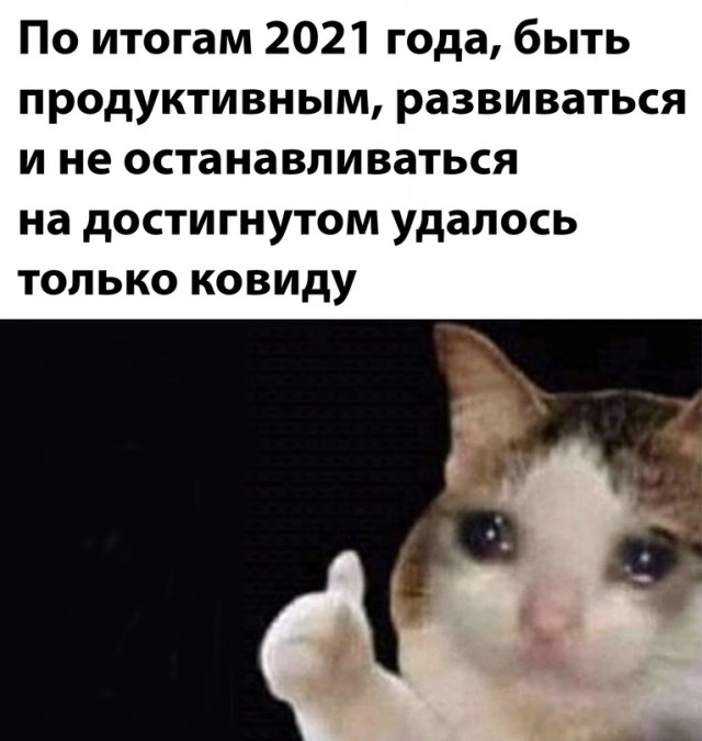 Весёлый полтишок 31.12