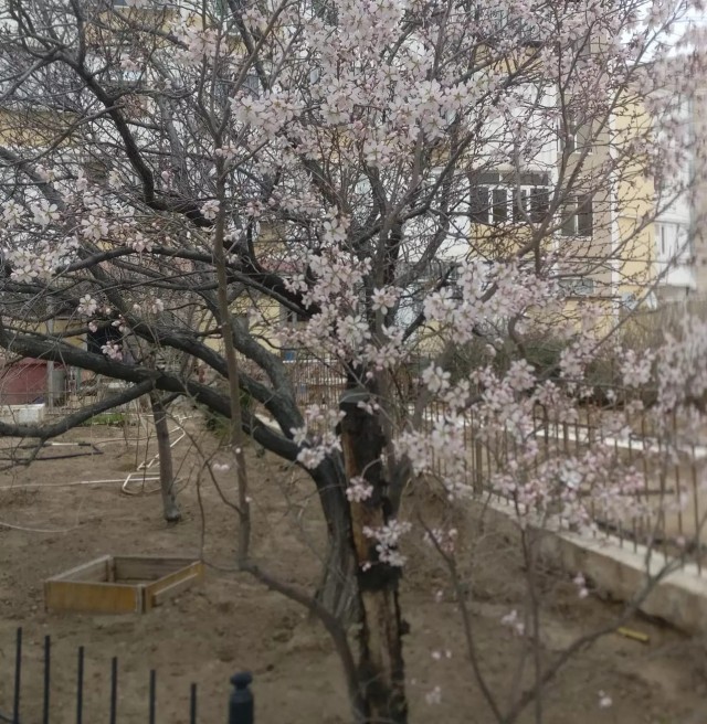А из нашего окна