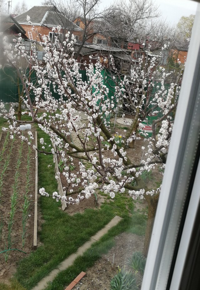 А какая у Вас сегодня весна за окном?!