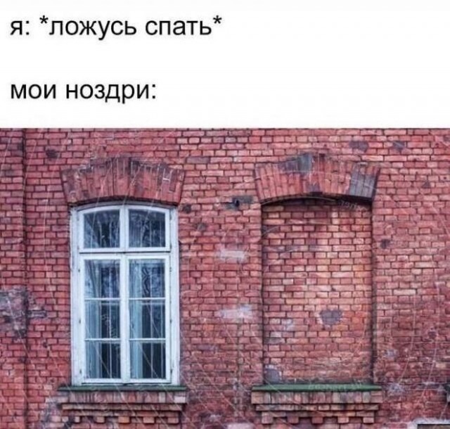 Немного баянов вам в ленту