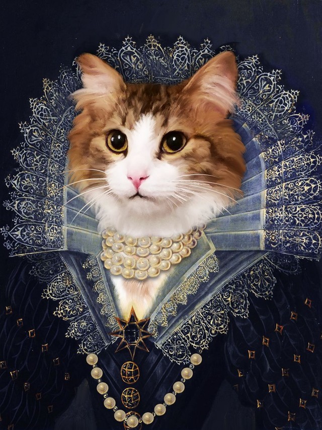 Рыцари коты