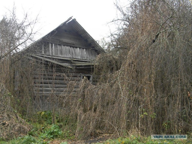 Забытая  людьми деревушка