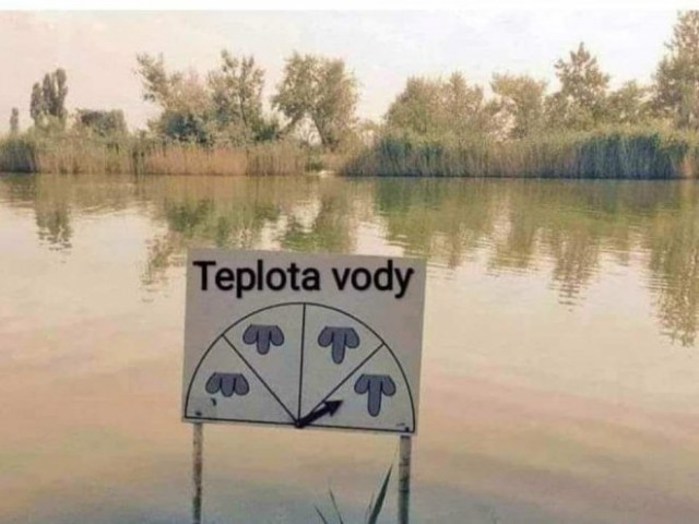 Картинки и мемы, всем хороших выходных