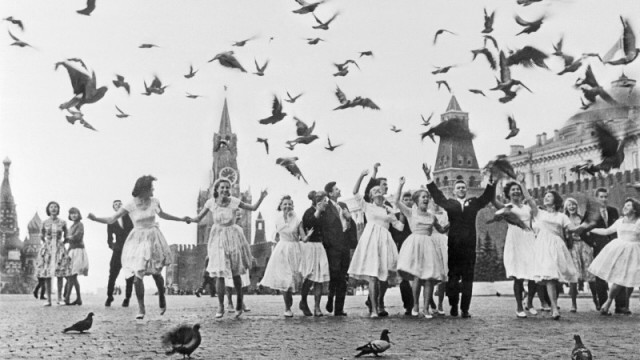 Почему голубятни были почти в каждом дворе советской Москвы?