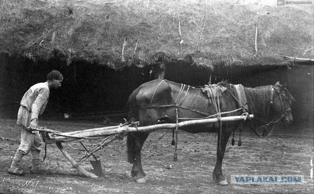 Песков ни чём невиноватый…  Или опять о «хрусте французской булки»