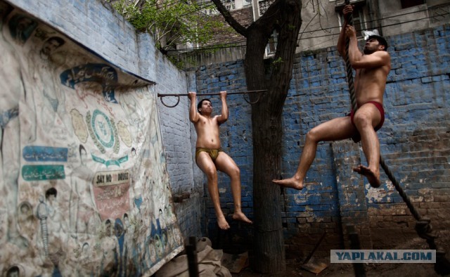 Школа индийской борьбы Кушти