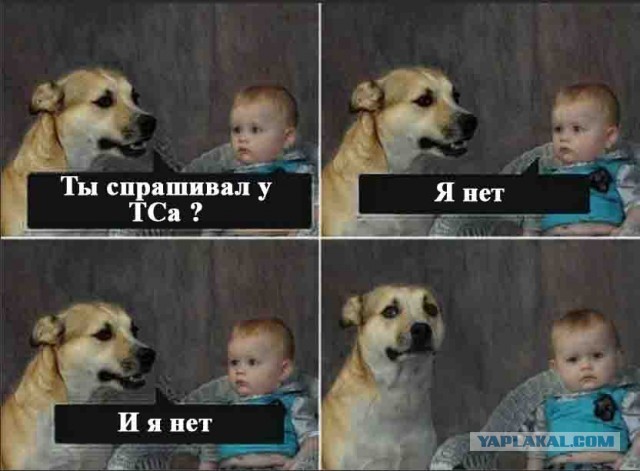Зоопсихология