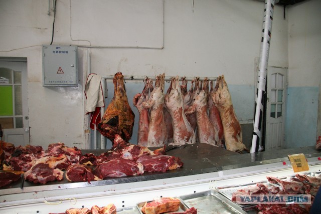 В Монголию на мотоциклах 2006