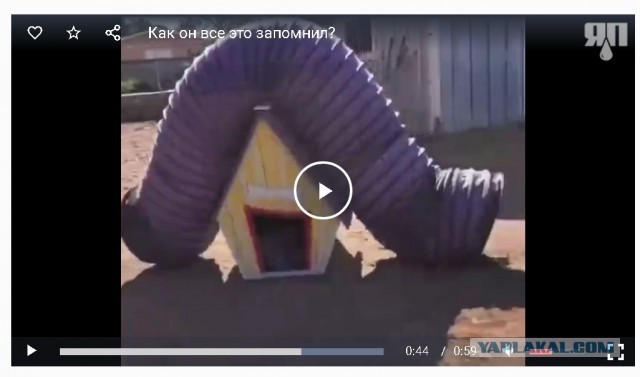 Как он все это запомнил?