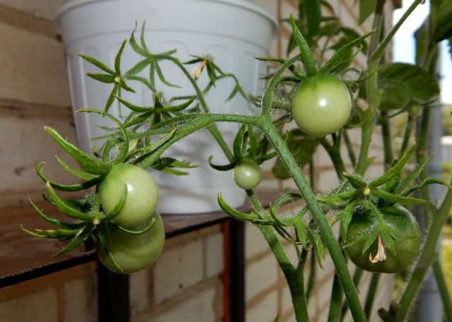 Уральское лето моими глазами