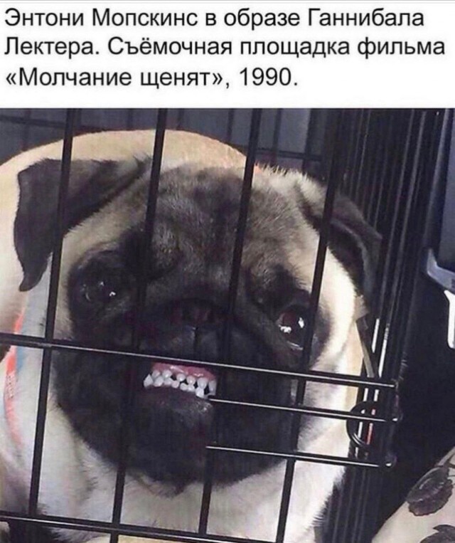 Воскресные бояны