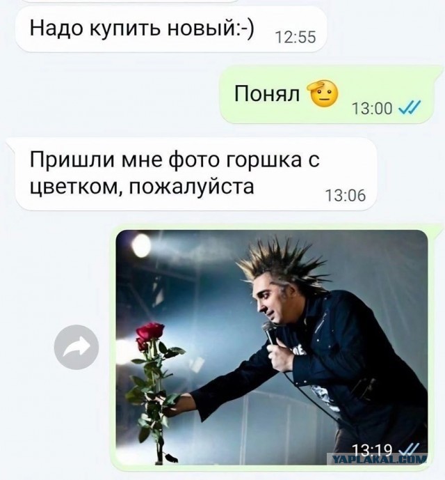 Забавные комментарии из социальных сетей (04.03.24)
