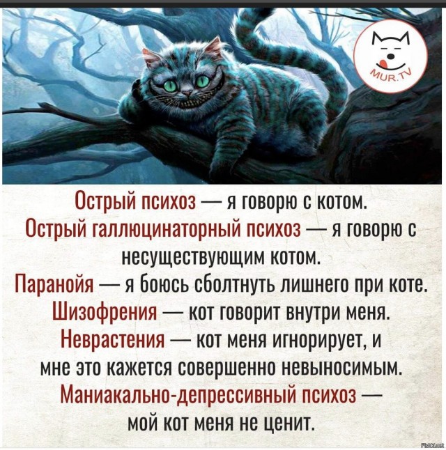 Дурдом - Бояны