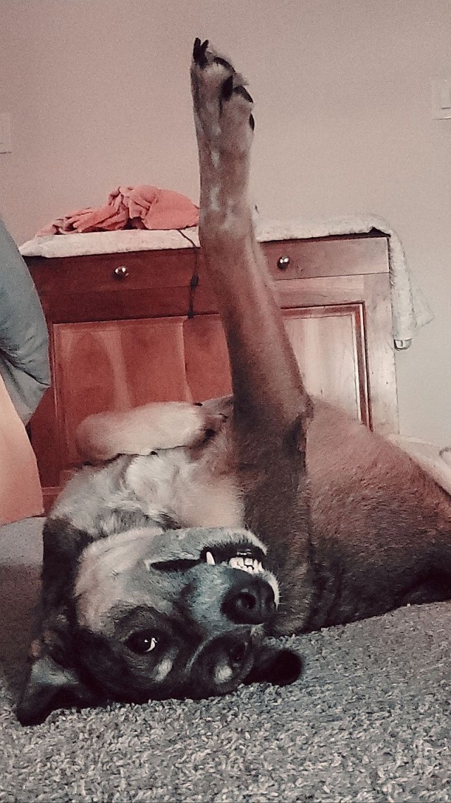 ФотоВинегрет