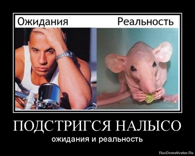 Из серии "ожидание - реальность"