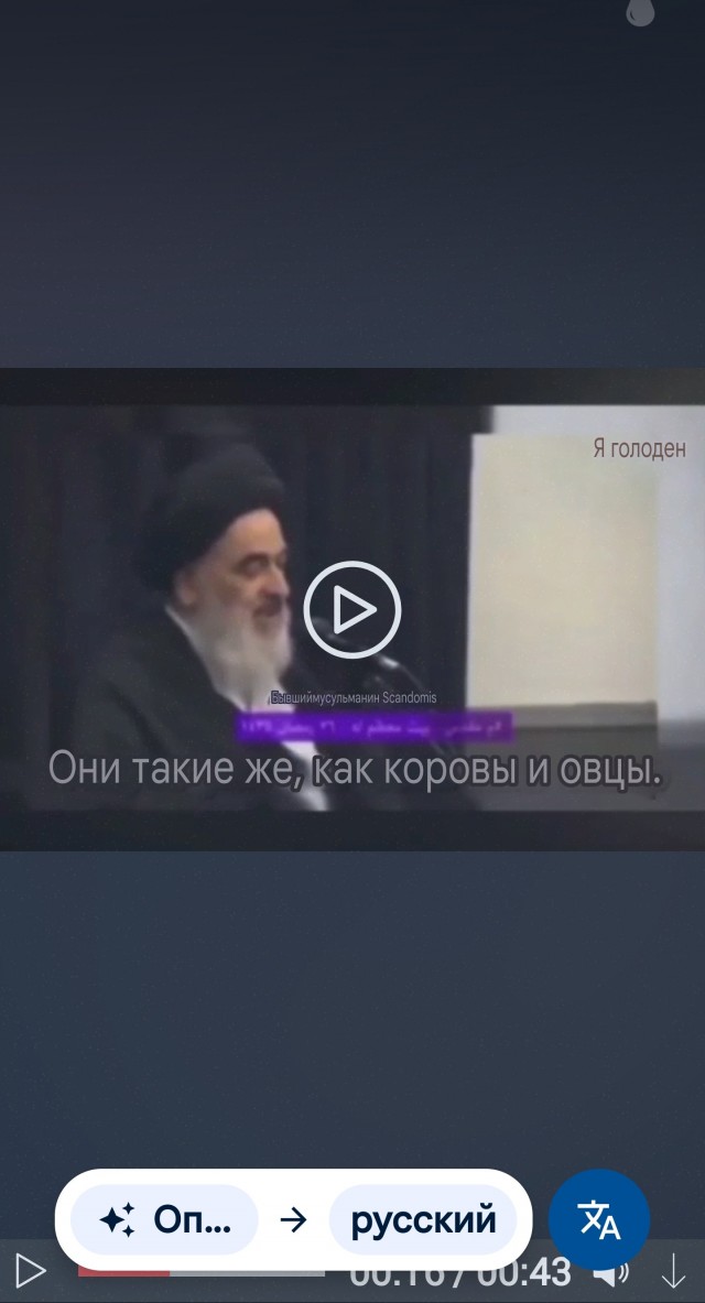 «Женщины – это животные, созданные аллахом для использования мужчинами.