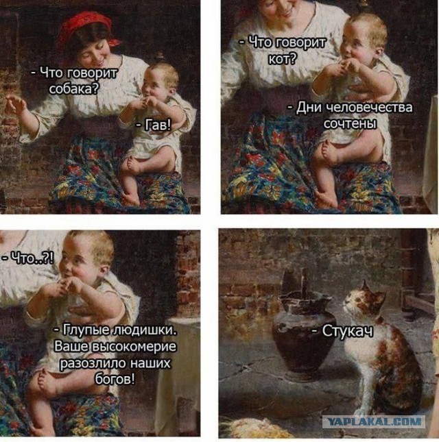 Кот оскорбляет чувства верующих
