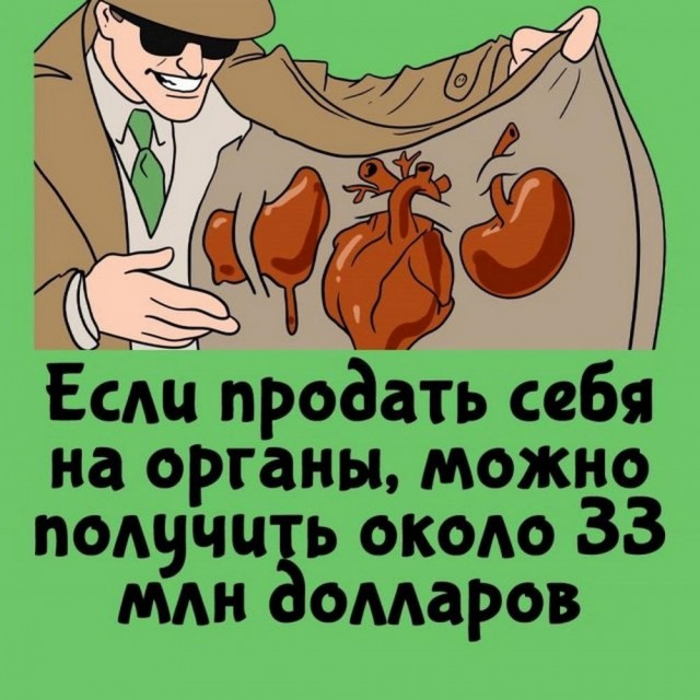 Прикольные и просто красивые картинки 12.11.2024