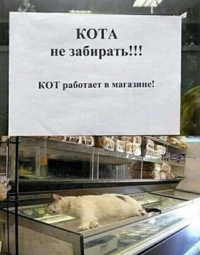 Завалялось тут случайно немного забавных картинок