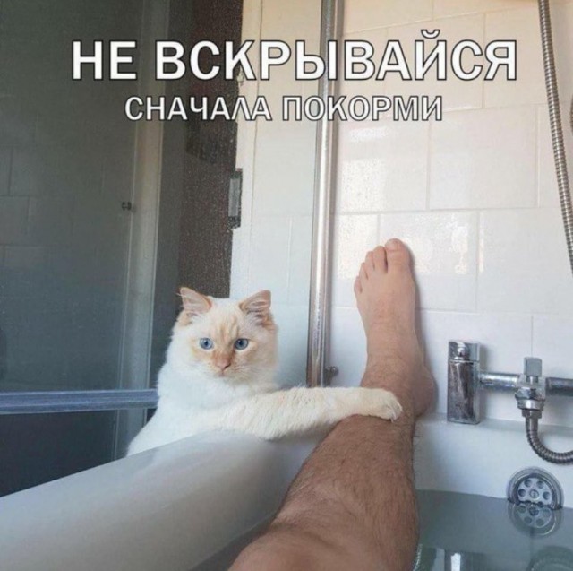 Картинок немного