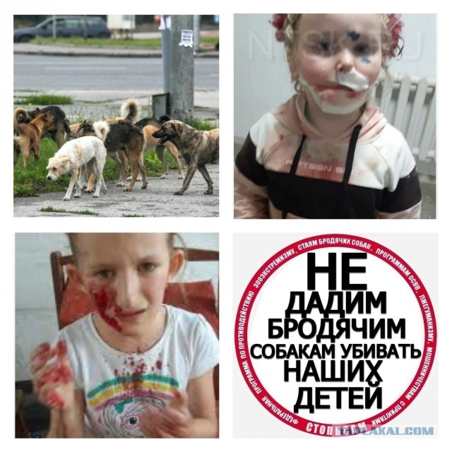 Опять бродячие псины жрут человеческих детей.
