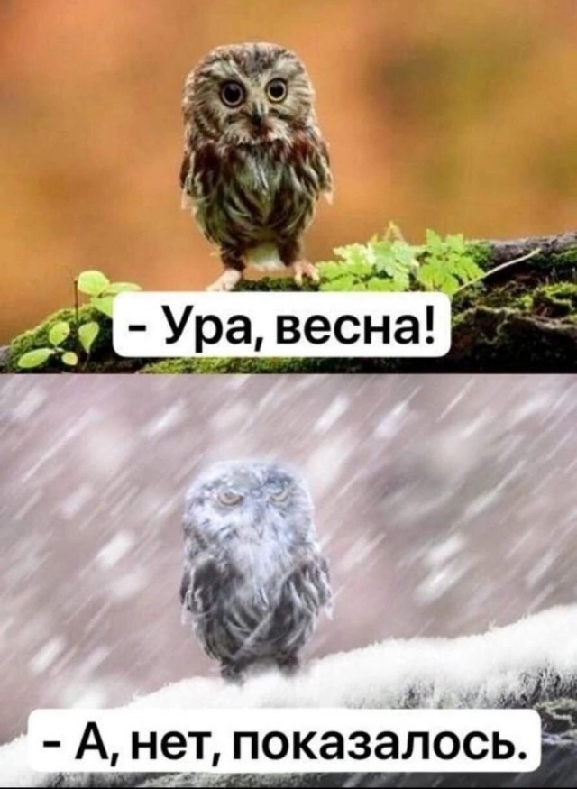 Так себе картинки 13.03.25