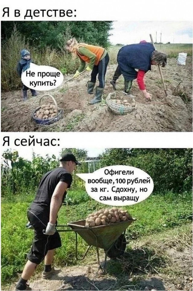 Так себе картинки 06.05.25