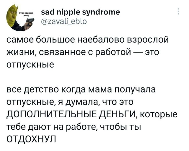 25 грустных, но жизненных мемов про зарплату