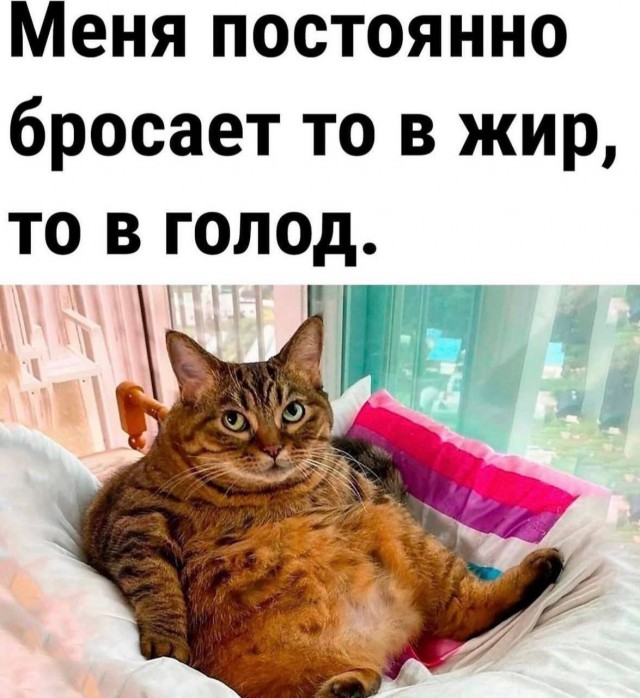 Подборка мемчиков за пол дня