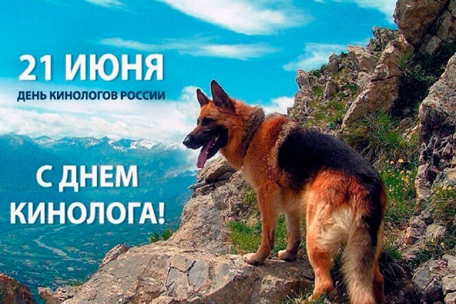 С днем кинологических подразделений