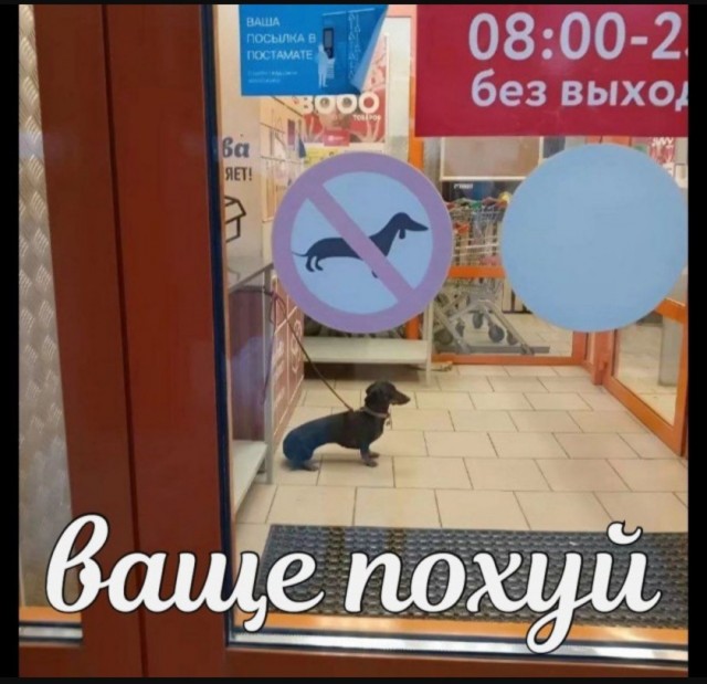 Так себе картинки 20.08.25