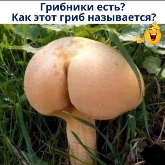 Так себе картинки 22.08.25
