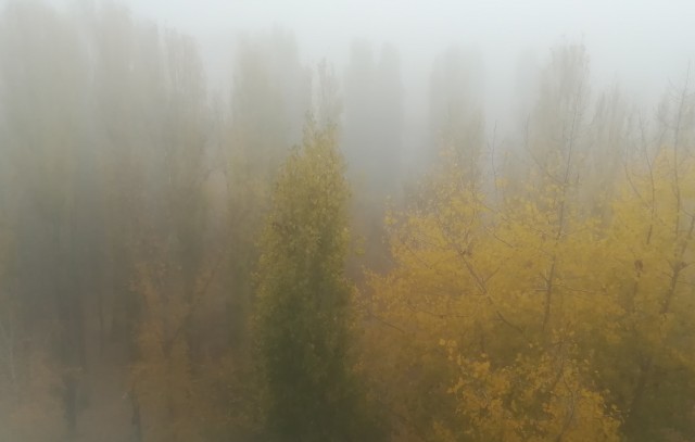 Зачем люди ходят?