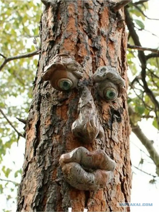 Есть люди с чувством юмора.