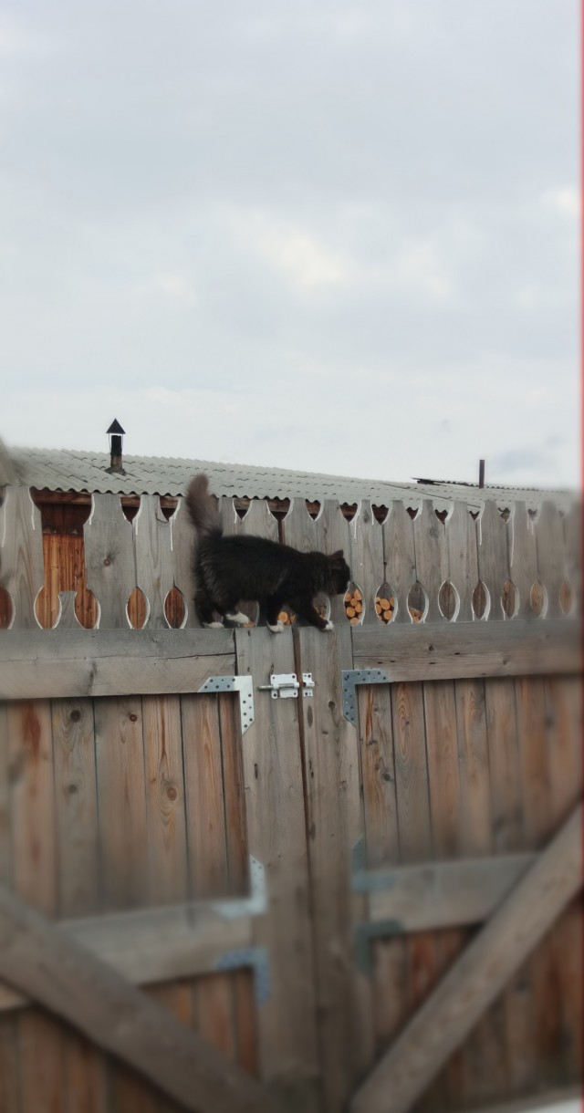 Это на завтра.