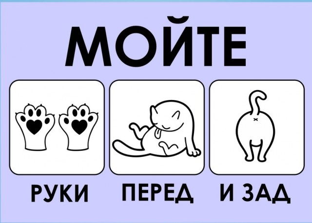 Умываться утром и вечером вредно для кожи,