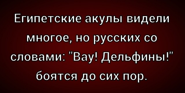 Пляжи пяти отелей в Хургаде закрыли из-за акулы