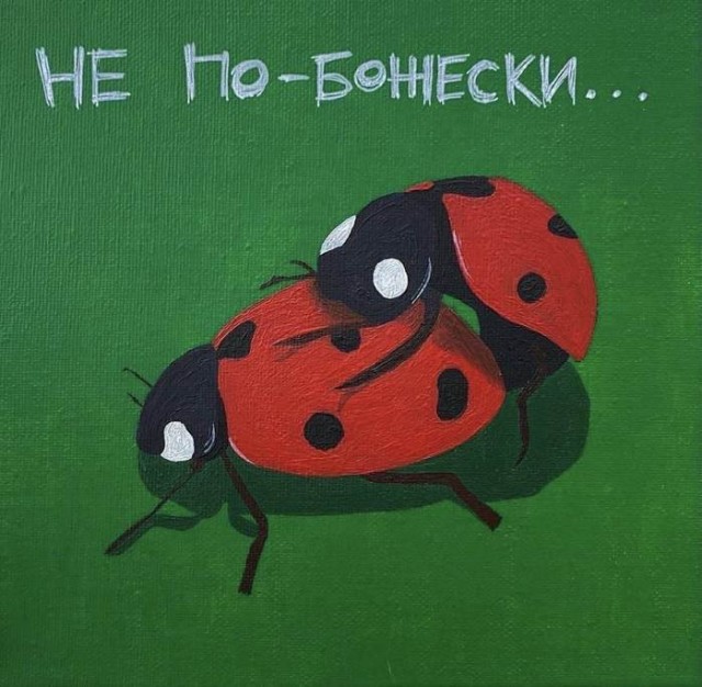 Картинки для деградации 142 (разной степени свежести)