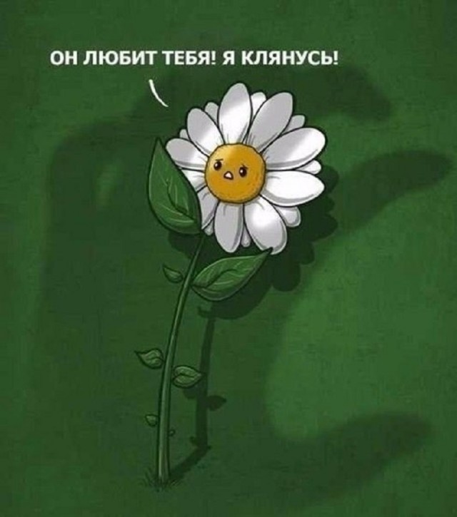 Так себе картинки 28.02.26