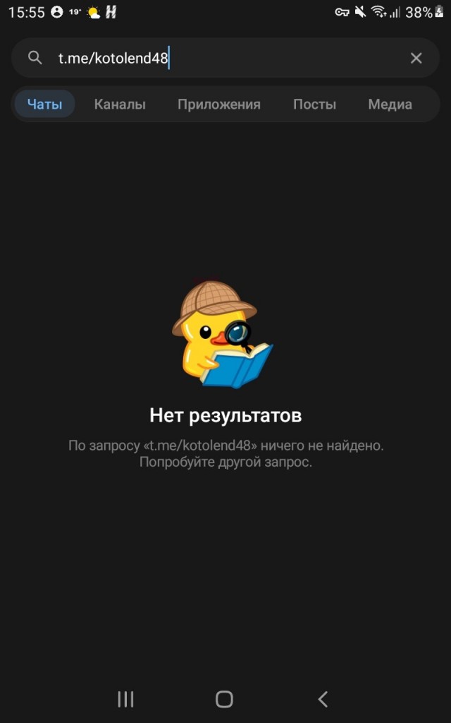 Жизнь домашнего приюта "Котоленд" 559