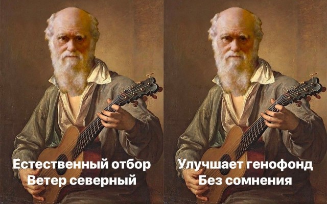 Школьники едят стиральный порошок, повторяя тренды из TikTok