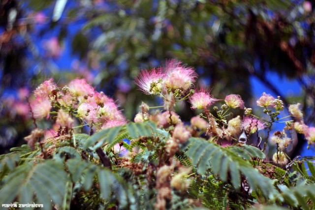 Крым: Судак и окрестности