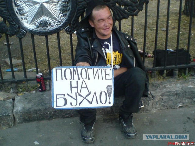 Маразмы года 2013
