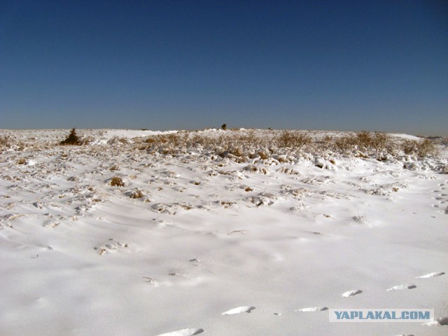 Деревенская Америка