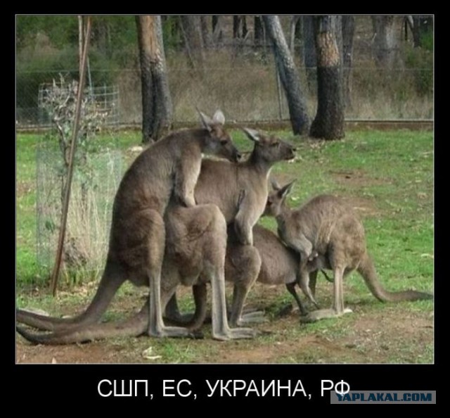 Мы обернемся к вам своею азиатской рожей...